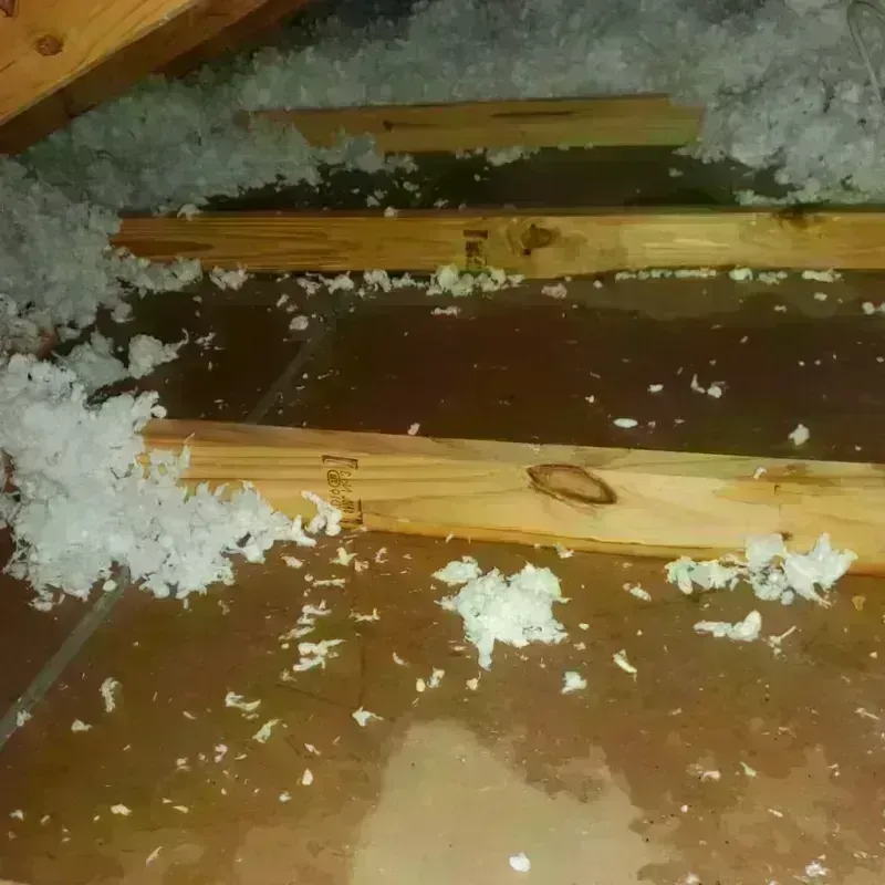 Attic Water Damage in Cottonwood, AL